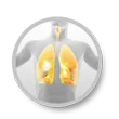 Spirometria Nowy Dwór Mazowiecki