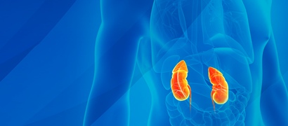 Nefrolog internista dr Olga Jeziorska